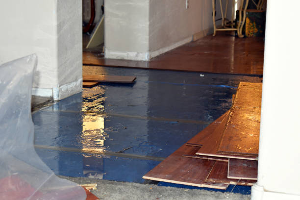 Professional Flood Cleanup technician working in Evansville, IN